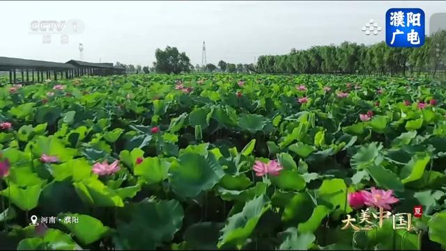 央视聚焦30余次！河南文旅多彩活动畅爽一夏