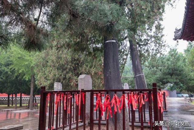 如果石家庄市区只去两个景点，一个是省博，另一个一定是这里！