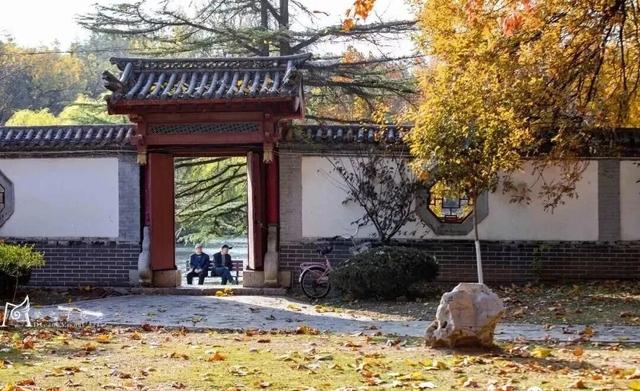 青州这些景致，藏着最动人的温柔