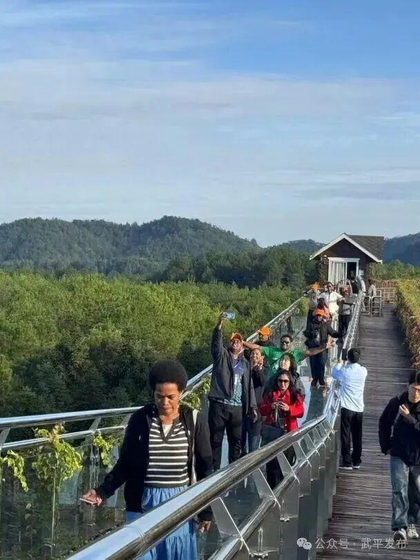 武平也走向“国际范”啦！11国林业专家齐聚千鹭湖，为了这件事……