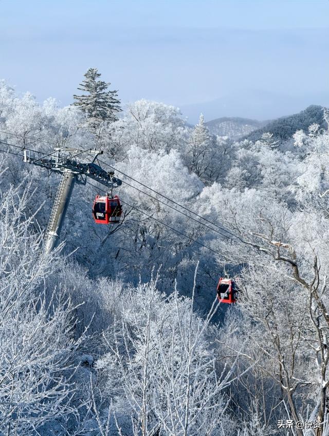 景区离大门几公里？逼着坐车圈地收钱，旅游乱象真没人管管吗？