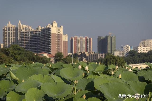 认识大美广东的每个县——第37波：郁南
