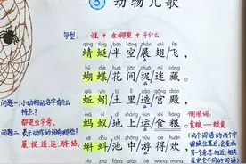 一年级语文下册，第五单元识字5《动物儿歌》笔记+解析+知识点图片