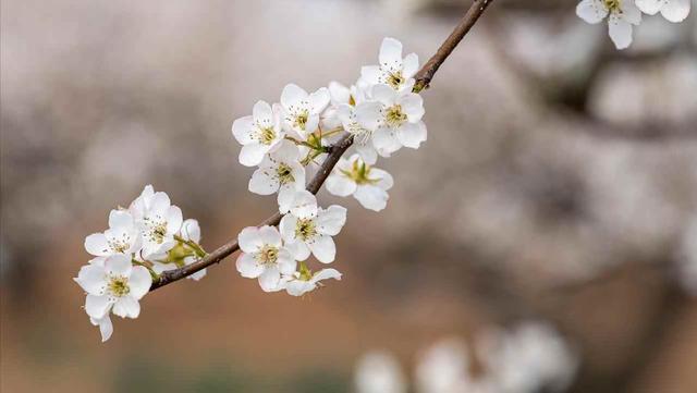 老伴退休选择离婚，隔天跟外面女人领证，5年后卧床身边空无一人