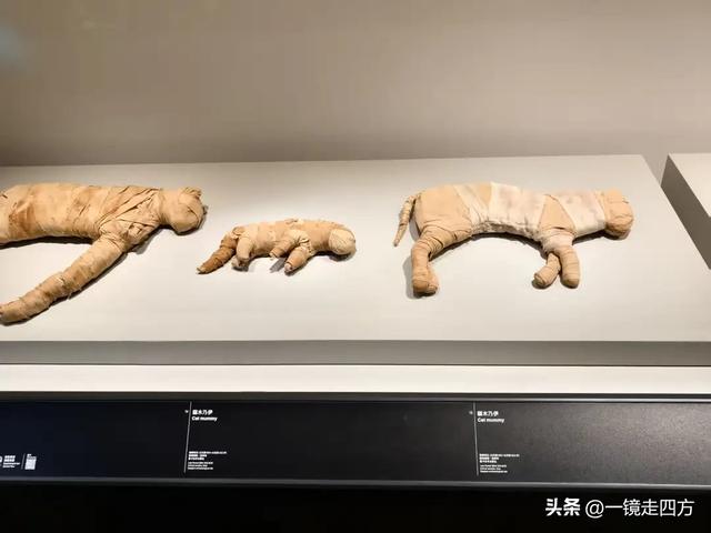 香港故宫文化博物馆举办埃及博物馆文物珍藏特展