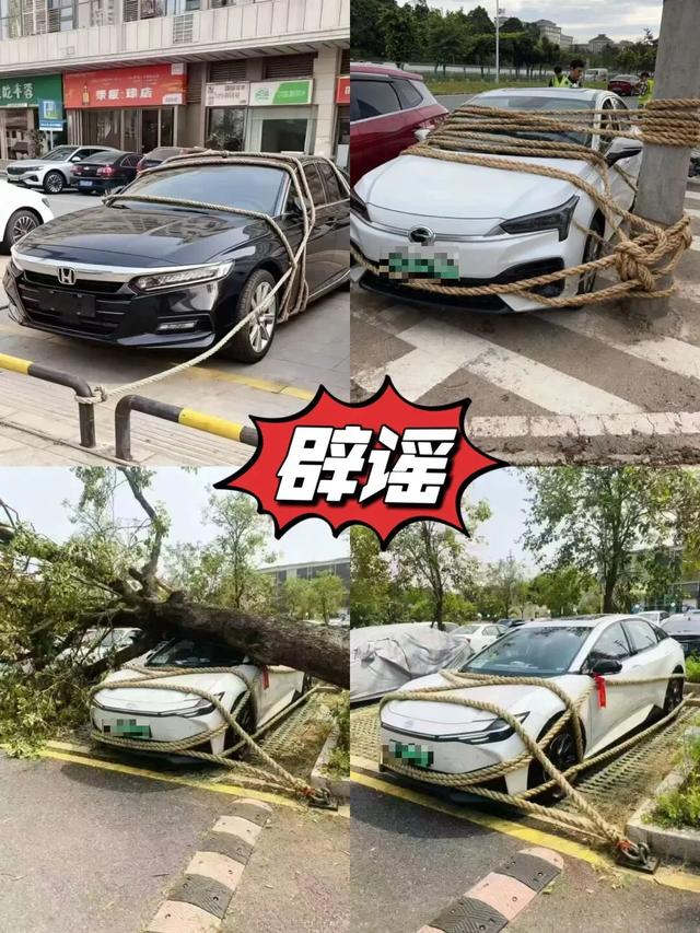 “拴Q”被台风吹走了？最新消息