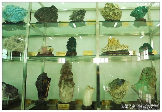 山东行游影记（31）—平邑天宇自然博物馆（六）