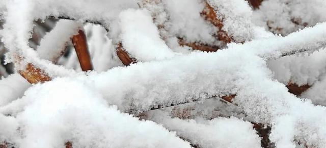 大雪暴雪、中雨大雨要来了！