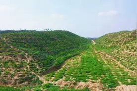 甘肃省白银市平川区绘就青山绿水“大生态”图片