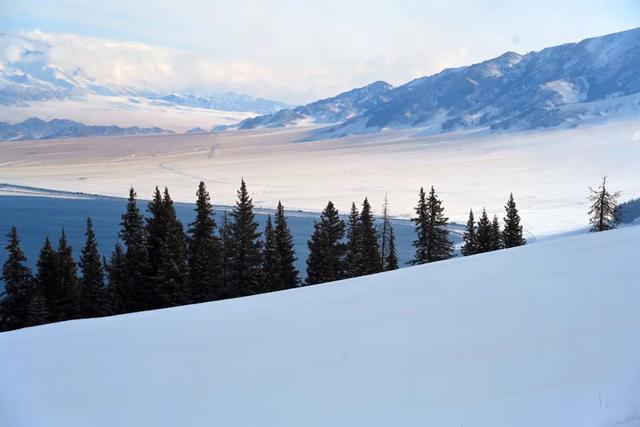 为了这道光，我做了一次疯狂的行动