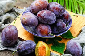 乌梅，一个被严重低估的散结果子，错过可就亏大了图片