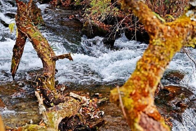 四川这个地方的初冬，是彩色的！