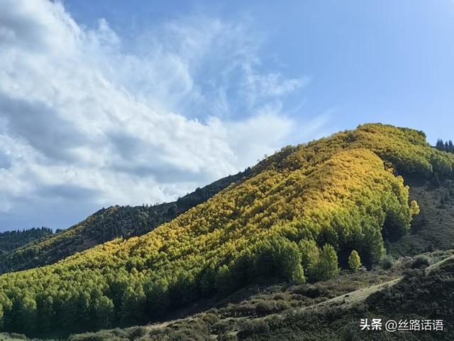 图集丨秋色斑斓 步入绿野仙踪的秘境——焉支山