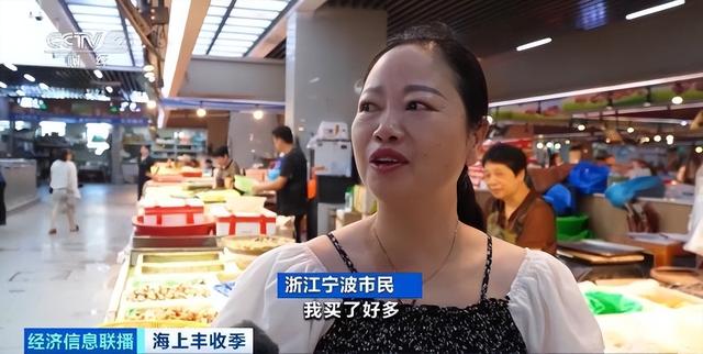东海开渔梭子蟹市场价格如何