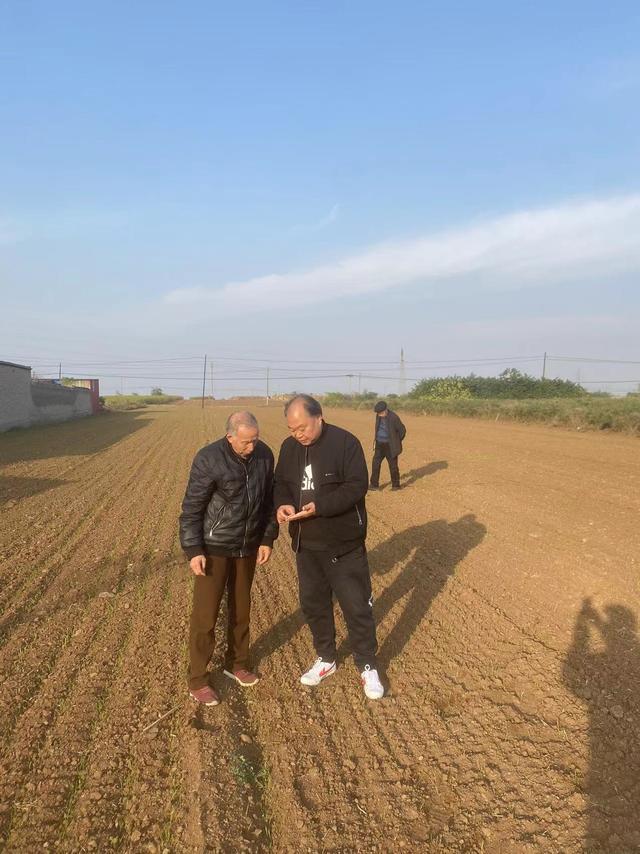 汝阳内埠镇与万里茶道的关联调研