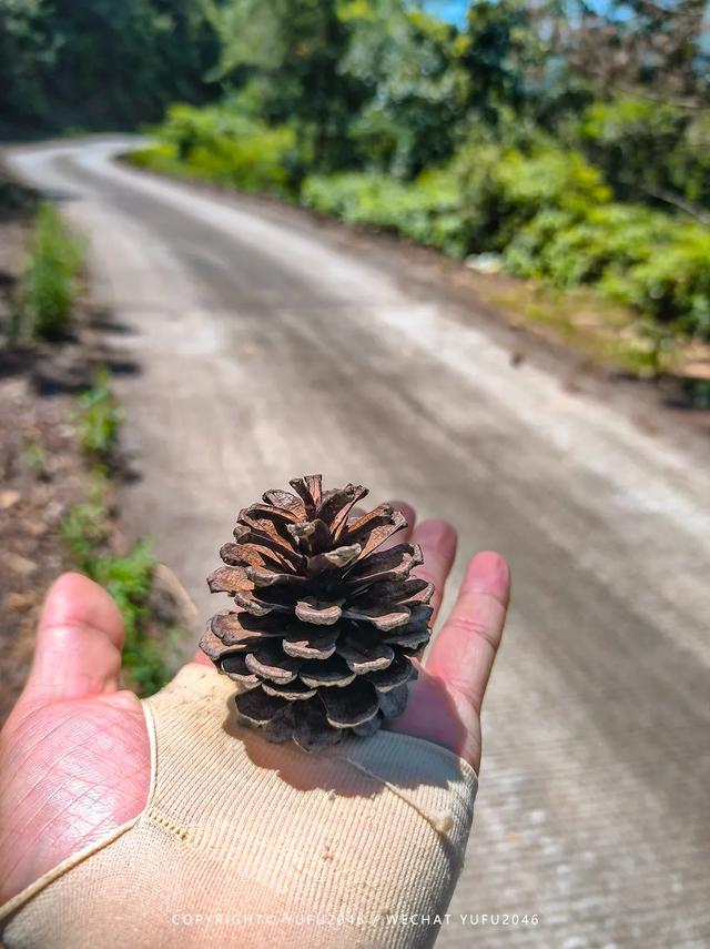 丰良九龙瀑布攻略