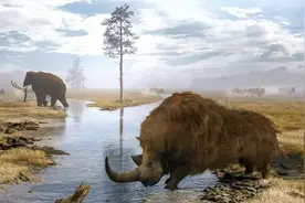 地球上曾出现过上千亿人，这是否意味着，泥土就是由腐尸构成的呢图片