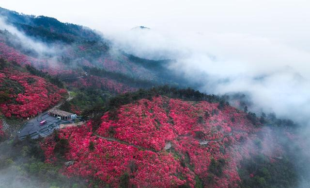 武汉人，去了黄陂跟新洲，直言不讳：黄陂跟新洲天差地别
