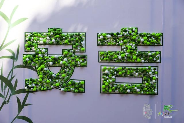 沪杭通世界，龙王山茶香映安吉！