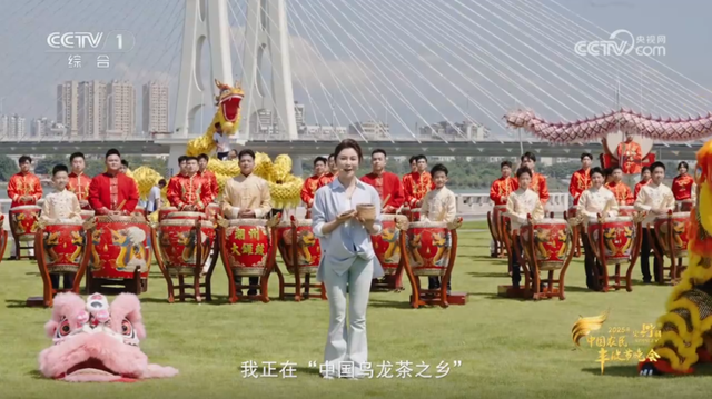 高光时刻频频“圈粉” 潮州文化奏响强音