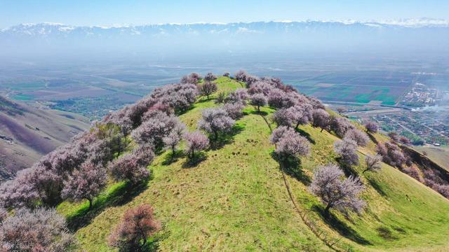 清明时节去踏春，这7个地方清静风景好，3天短假期也够玩