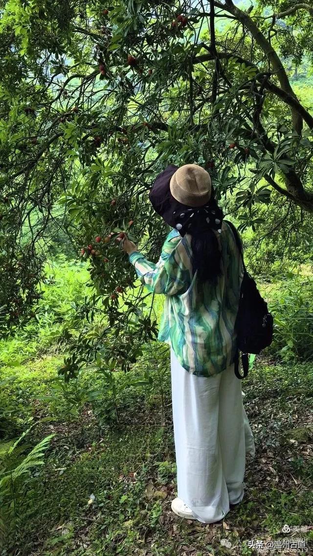 大多浙江人不知道的小众秘境，绿野仙踪！秘藏了“浙东第一古道"