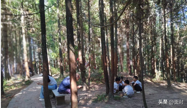 利川避暑山庄苏马荡树林下人们活动剪辑 老人安享晚年 小孩亲近自然