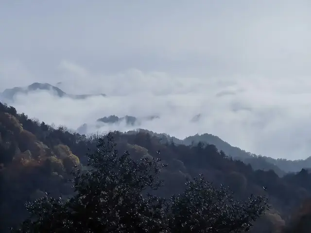 秦岭深处有人家（五）——蜿蜒太子岭