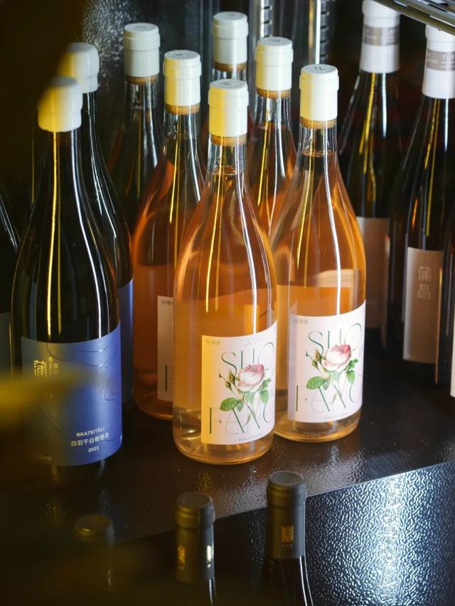 乌鲁木齐 1 月城市活动，把周末交给展览、音乐会和新去处