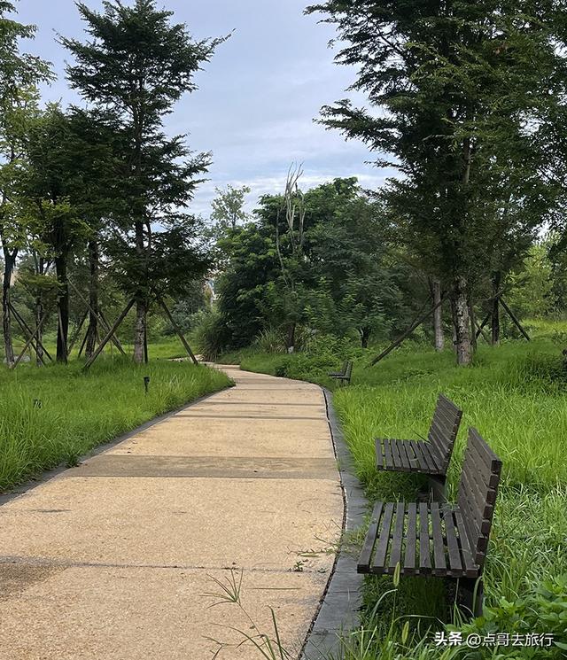 成都最近的原野公园，超级惊艳，一个湖风景就是王者，公交直达！