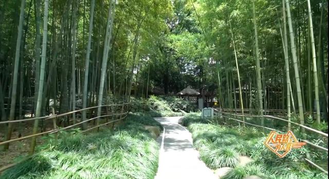 上海市中心又一公园将24小时开放！坐落于外滩和城隍庙之间，宝藏机位藏不住了