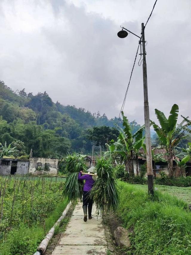 来去如风，骑着摩托穿越印尼爪哇岛乡村