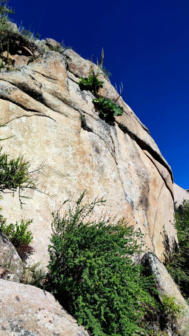 两登拉萨色拉寺后山，上升600米，山顶海拔4200米，经幡飘扬
