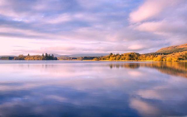 岁月凌霜，树叶枯黄，时光已是深秋
