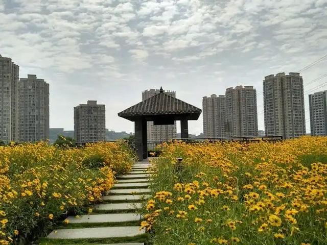 中国“最落寞”省会，曾是北方第一城市，现在中部六个省会中垫底