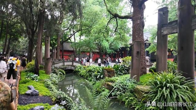 成都人口密度排首位的区，因一座祠堂而得名，夜市烟火气很浓！