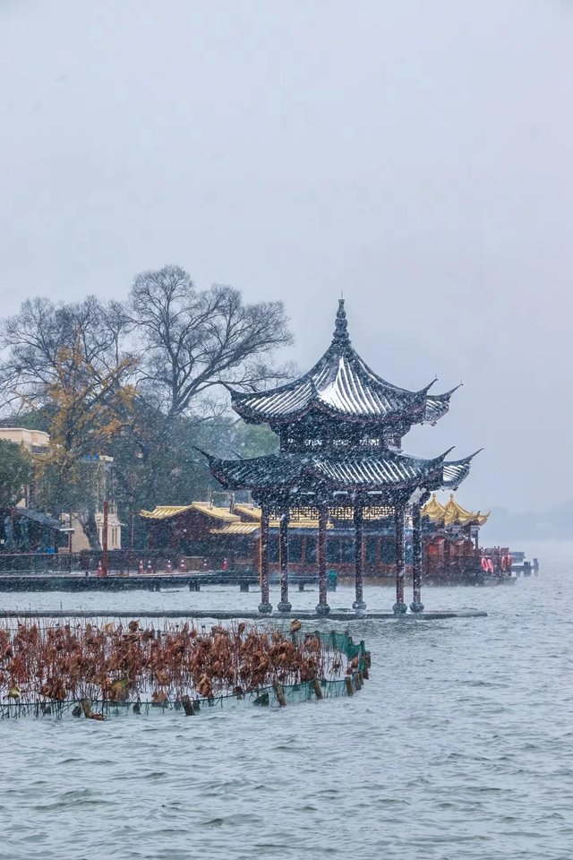 下雪了！下雪了！浙江的第一场雪来了！