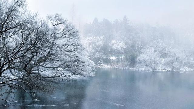 又来？这样的随州，你见没见过？