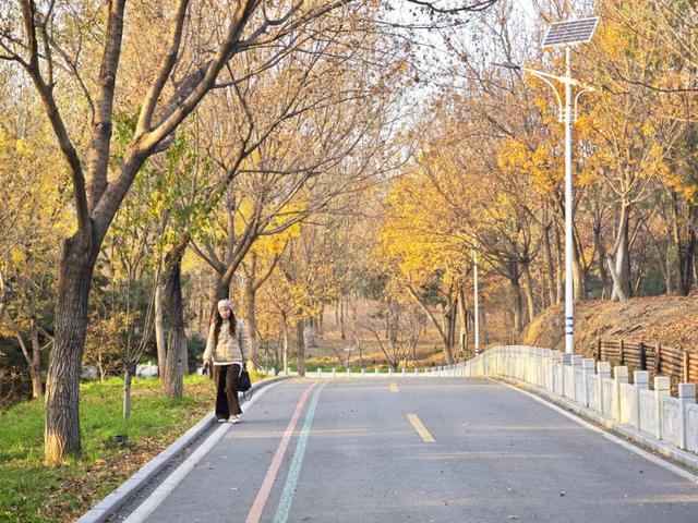 发现丰台之美 | 诗意北宫，醉美金秋