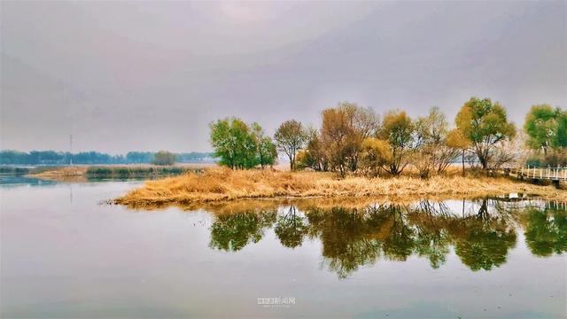 这样的哈尔滨，你见过吗？