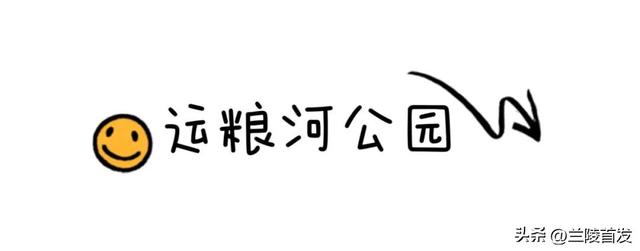 好客山东好品山东｜初秋！在兰陵逛公园才是正经事！