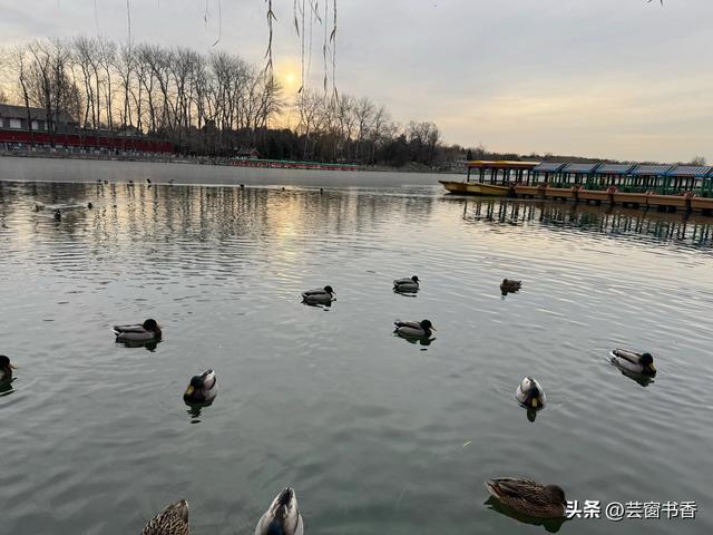 30分钟治愈你的焦虑，带你漫步最治愈的公园之一：北海公园