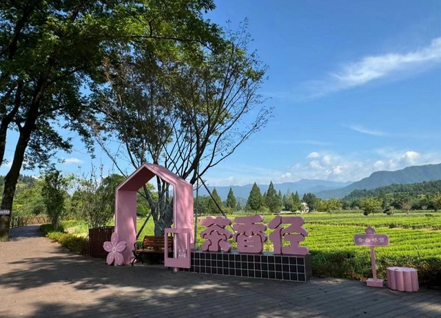 茶香武夷·“星”火燎原｜2025武夷山茶足径业态招商推介会火热报名中