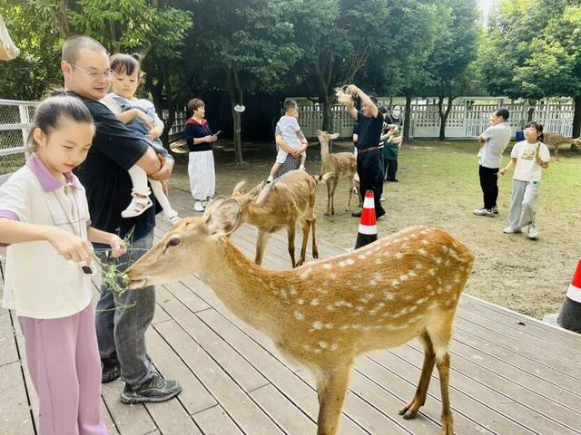 成都温江文旅活动出新出彩 解锁温江“微度假”新方式