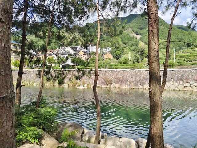 《浙缙天路》这边风景独好