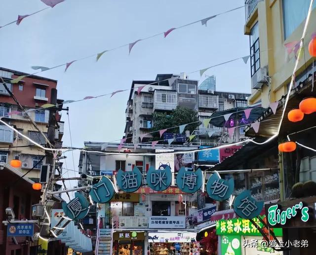 厦门旅行记:想去的小伙伴可以提前看看,前人种树后人乘凉嘛
