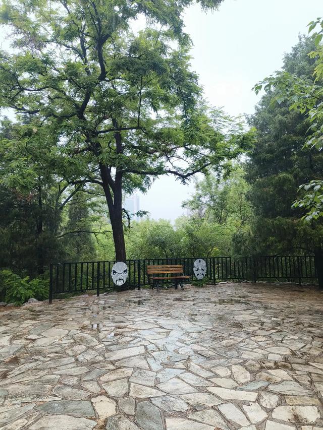 天津雨中的《红光公园》