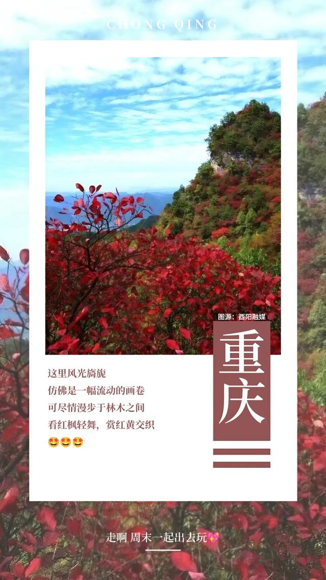 此时不看,再等一年!红了,冲冲冲!