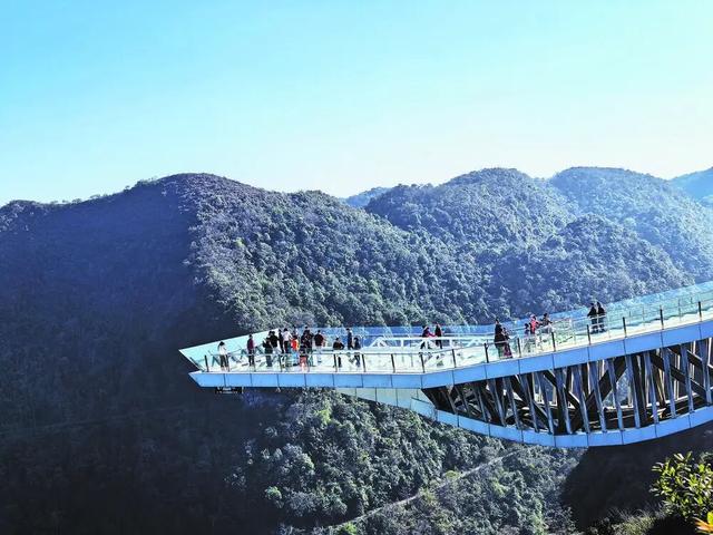 百色文旅大会后，德保靖西凌云乐业竟变成这样！