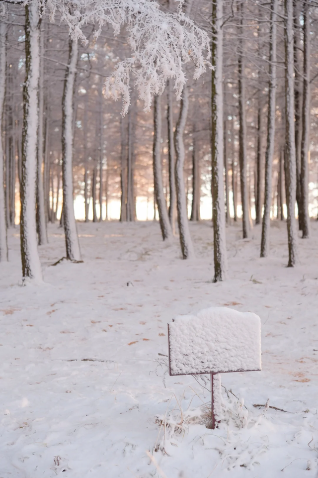 入冬啦！呼和浩特的这几处顶流打卡地必须去眊一眊！